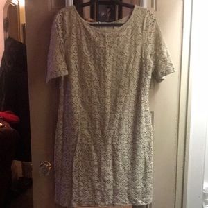 NWT Banana Republic lace dress